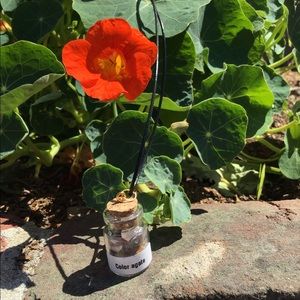 Crystals (Color Agate) In A Bottle Mini